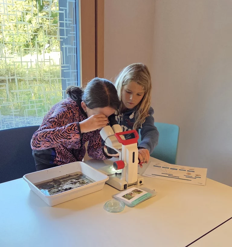 Naturnaher Unterricht
