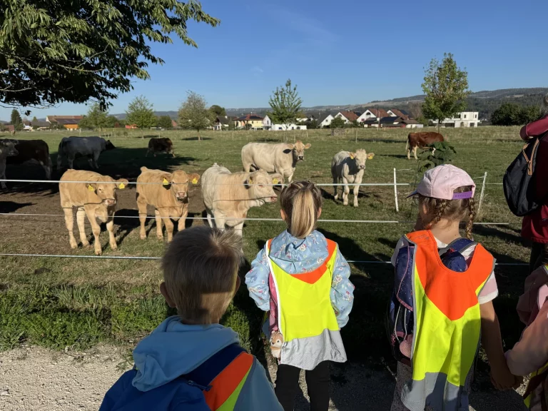 Kindergarten Leibstadt – Spaziergang zum Spielplatz beim KKL